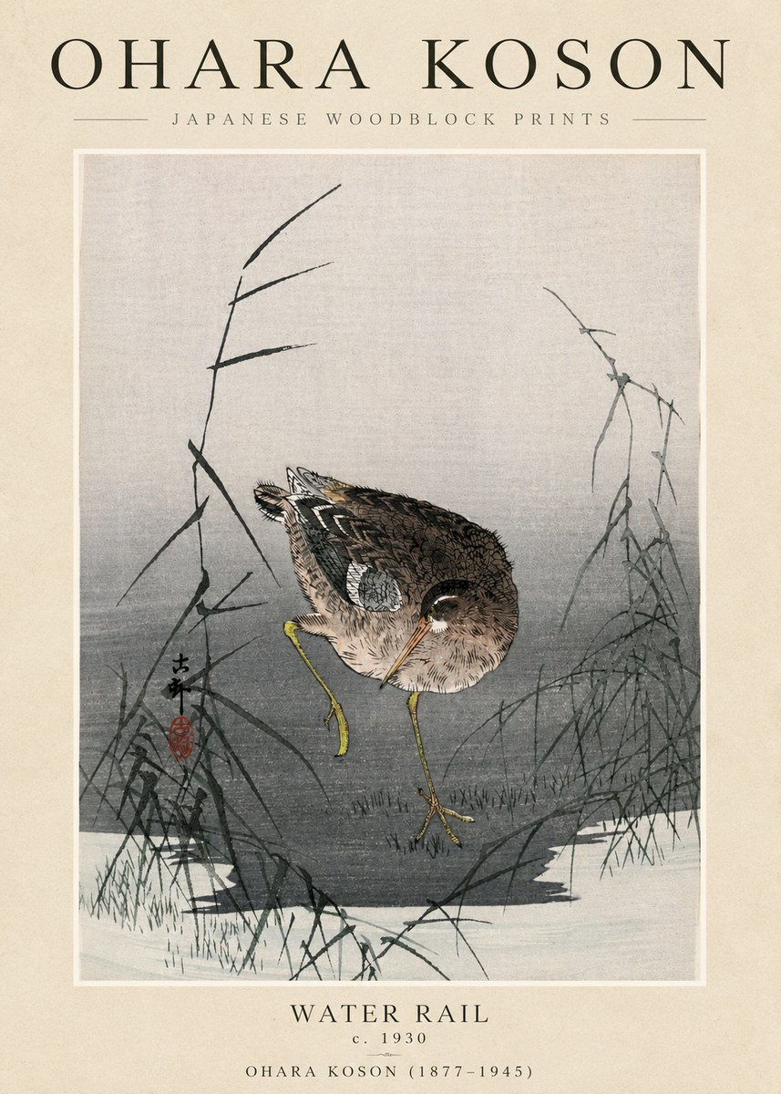 Ohara Koson Water Rail No3 - Poster