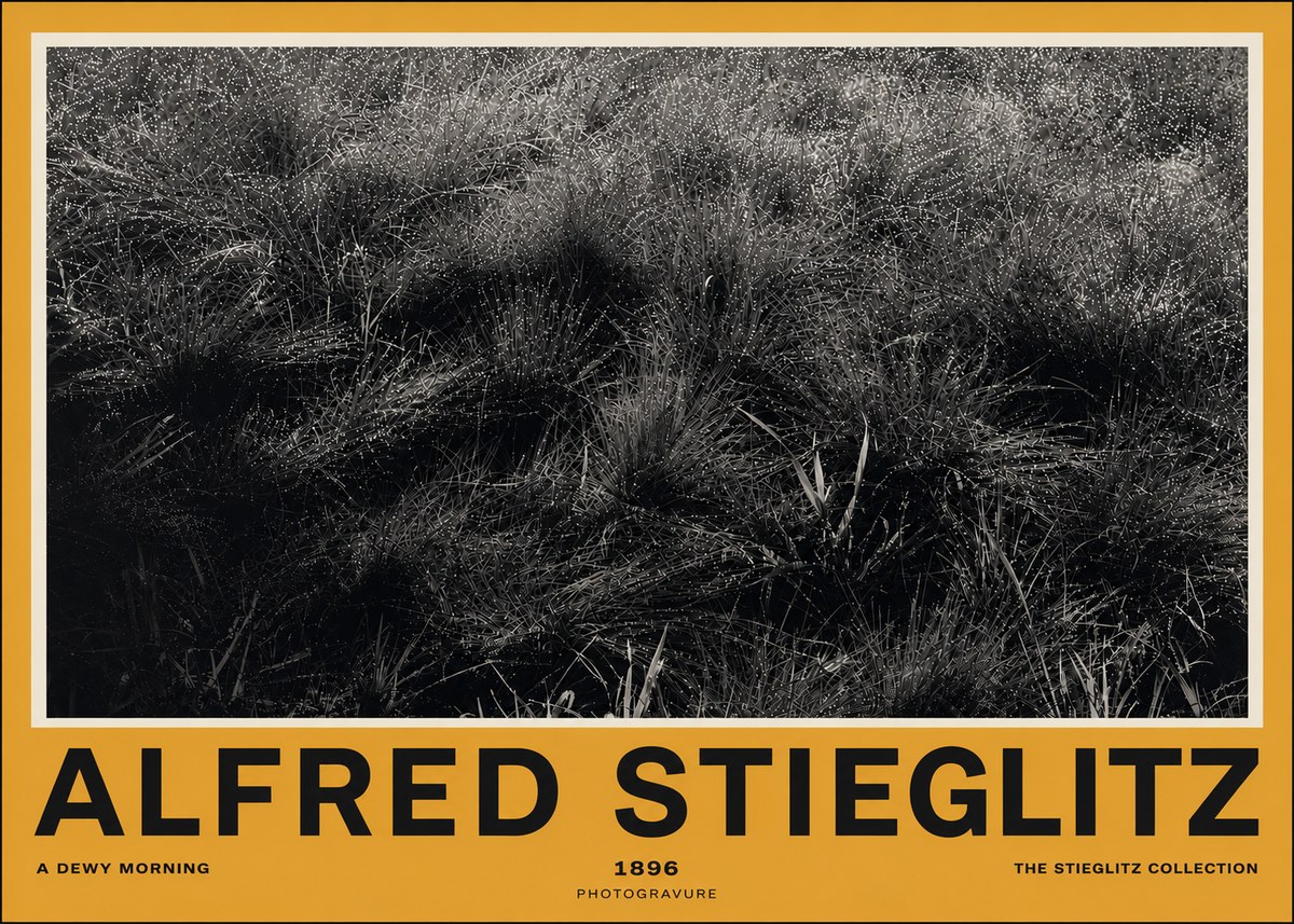 Alfred Stieglitz A Dewy Morning No4 - Poster