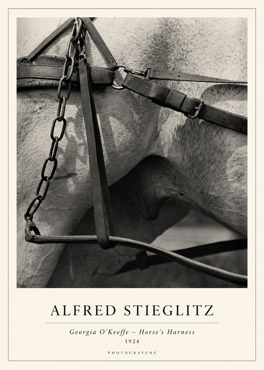 Alfred Stieglitz The Steerage I No2 - Poster