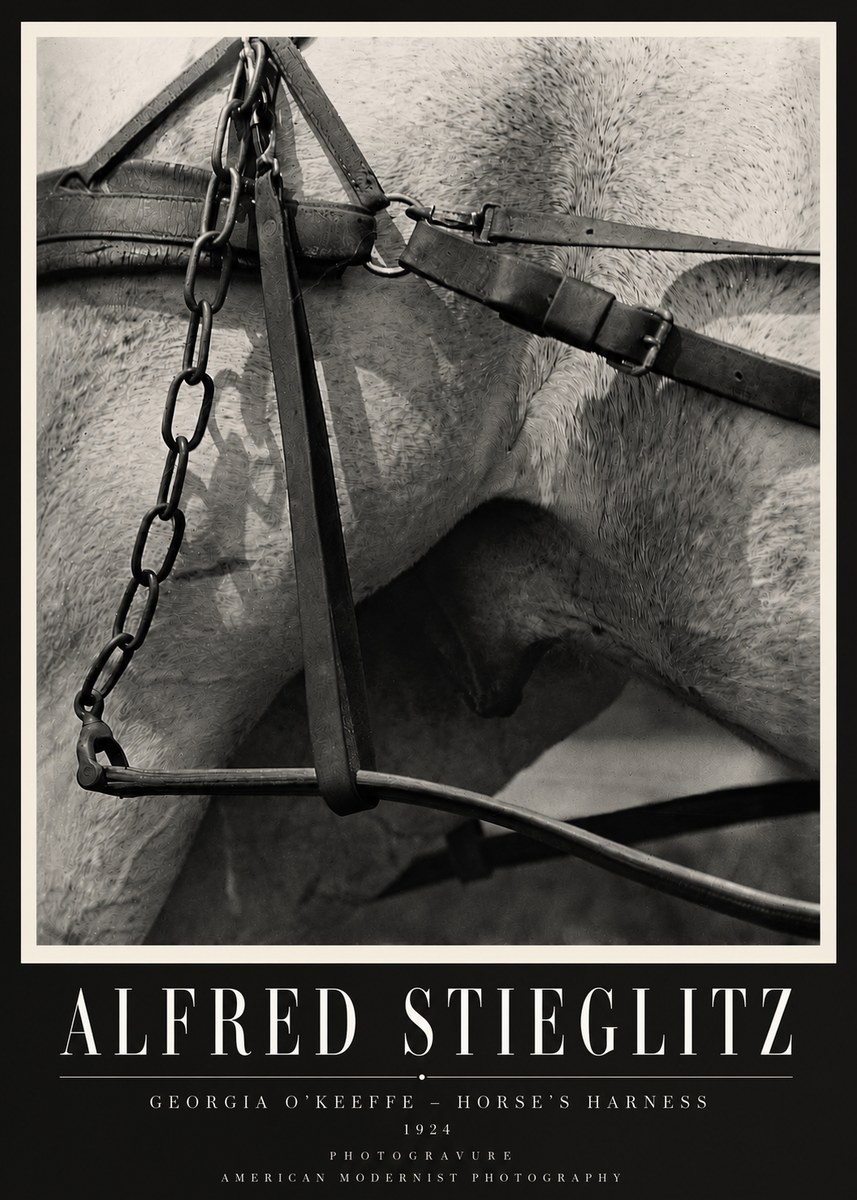 Alfred Stieglitz The Steerage I No4 - Poster