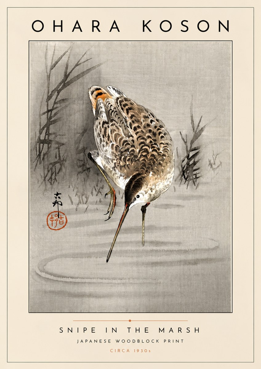 Ohara Koson Snipe in the Marsh No4 - Poster