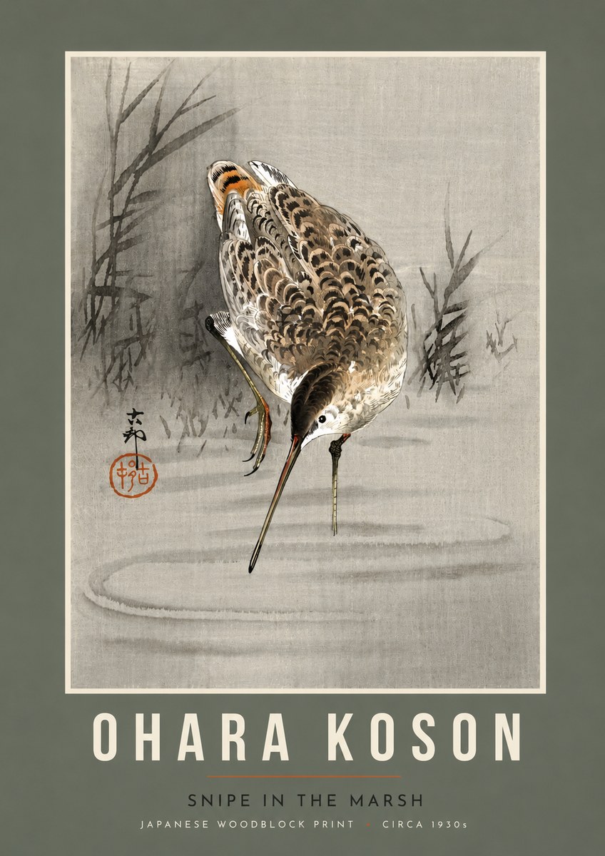 Ohara Koson Snipe in the Marsh No5 - Poster