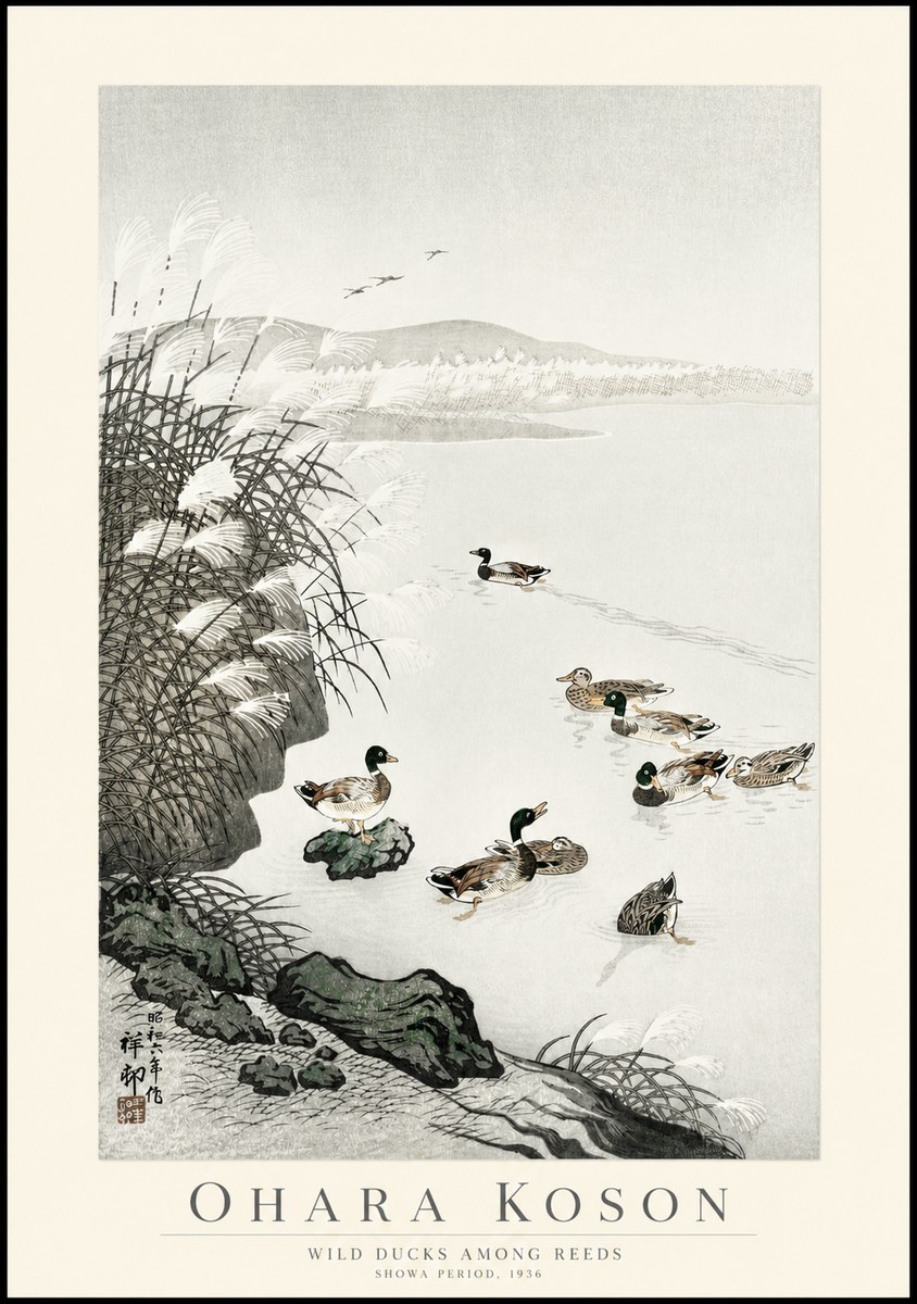 Ohara Koson Wild Ducks Among Reeds No1 - Poster