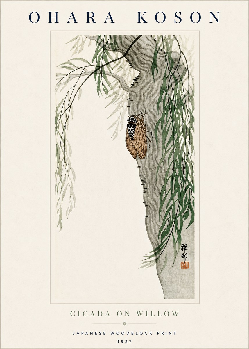 Ohara Koson Cicada on Willow No5 - Poster