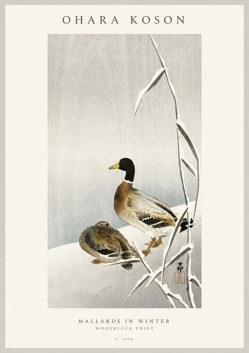 Ohara Koson Mallards in Winter No1 - Poster