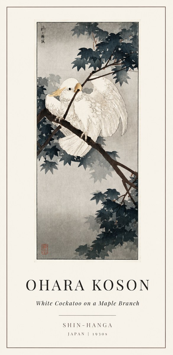 Ohara Koson White Cockatoo on a Maple Branch No1 - Poster