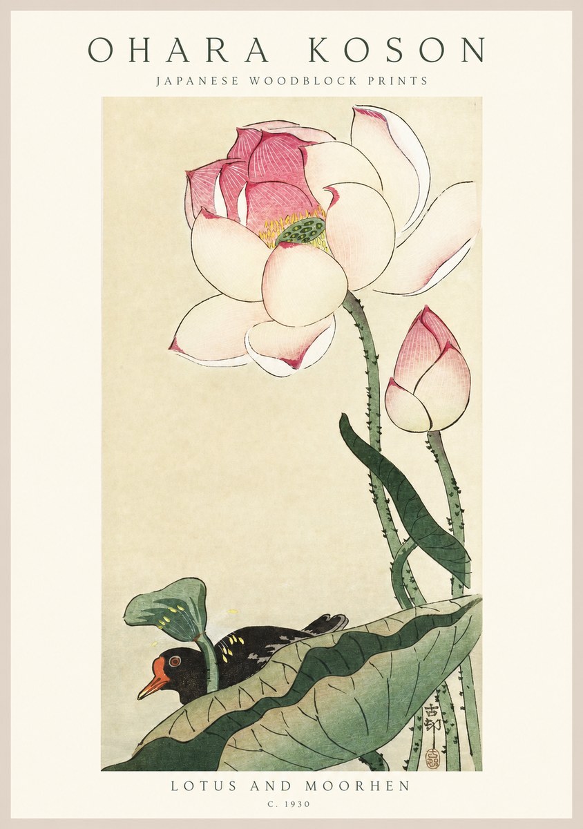 Ohara Koson Lotus and Moorhen No1 - Poster