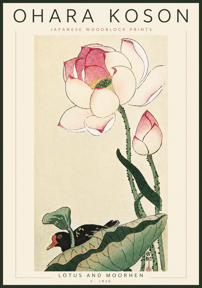 Ohara Koson Lotus and Moorhen No6 - Poster
