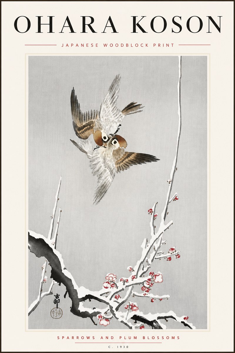 Ohara Koson Sparrows and Plum Blossoms No5 - Poster