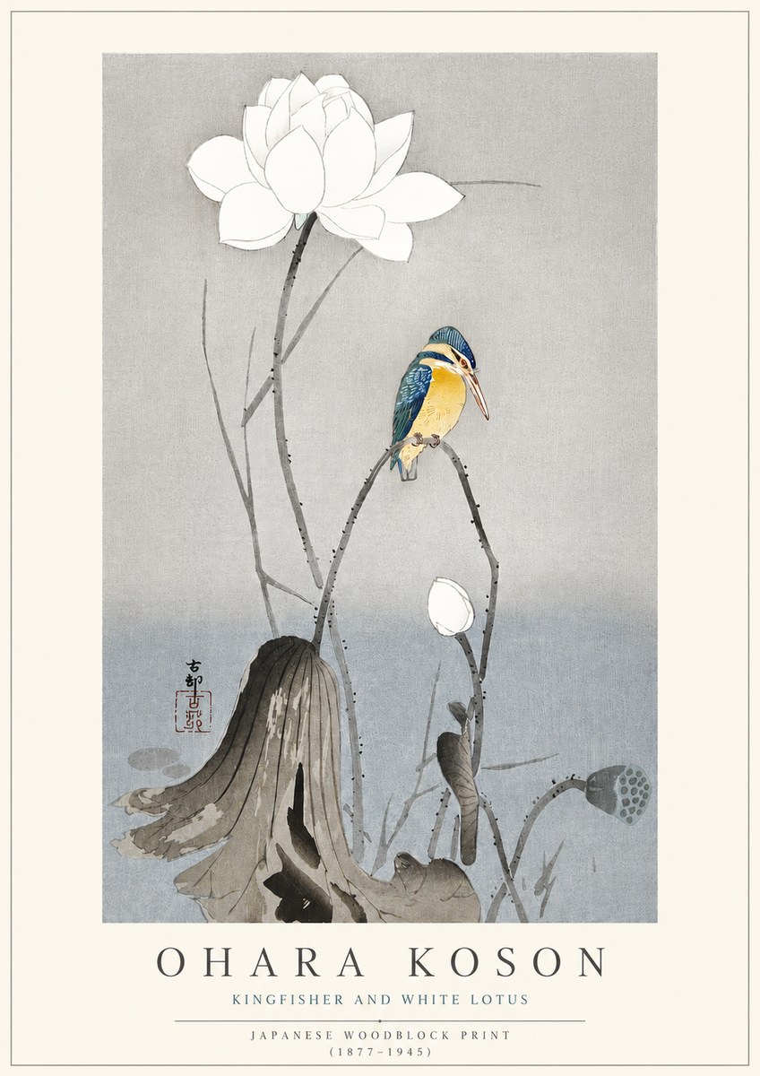 Ohara Koson Kingfisher and White Lotus No3 - Poster