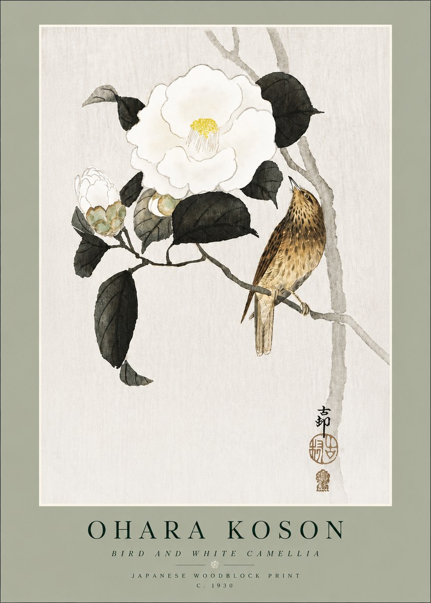 Ohara Koson Bird and White Camellia No4 - Poster