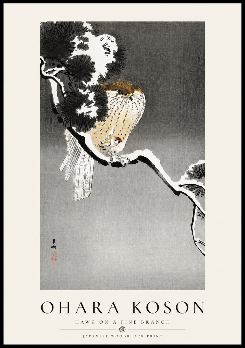 Ohara Koson Hawk on a Pine Branch No4 - Poster