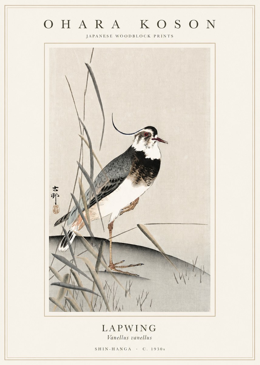Ohara Koson Lapwing No1 - Poster