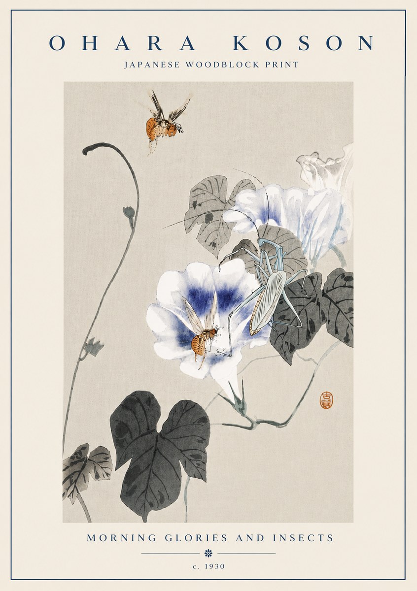 Ohara Koson Morning Glories and Insects No6 - Poster