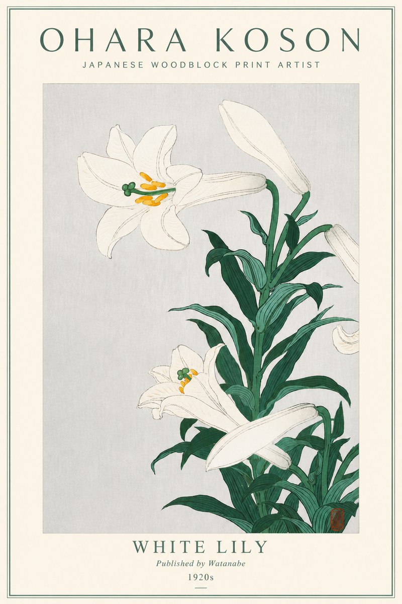 Ohara Koson White Lily No3 - Poster