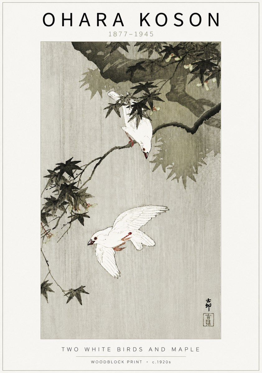 Ohara Koson Two White Birds and Maple No5 - Poster