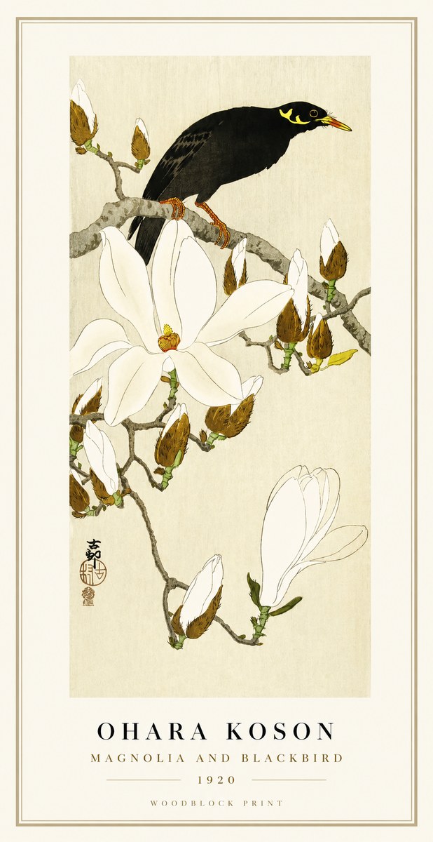 Ohara Koson Magnolia and Blackbird No1 - Poster