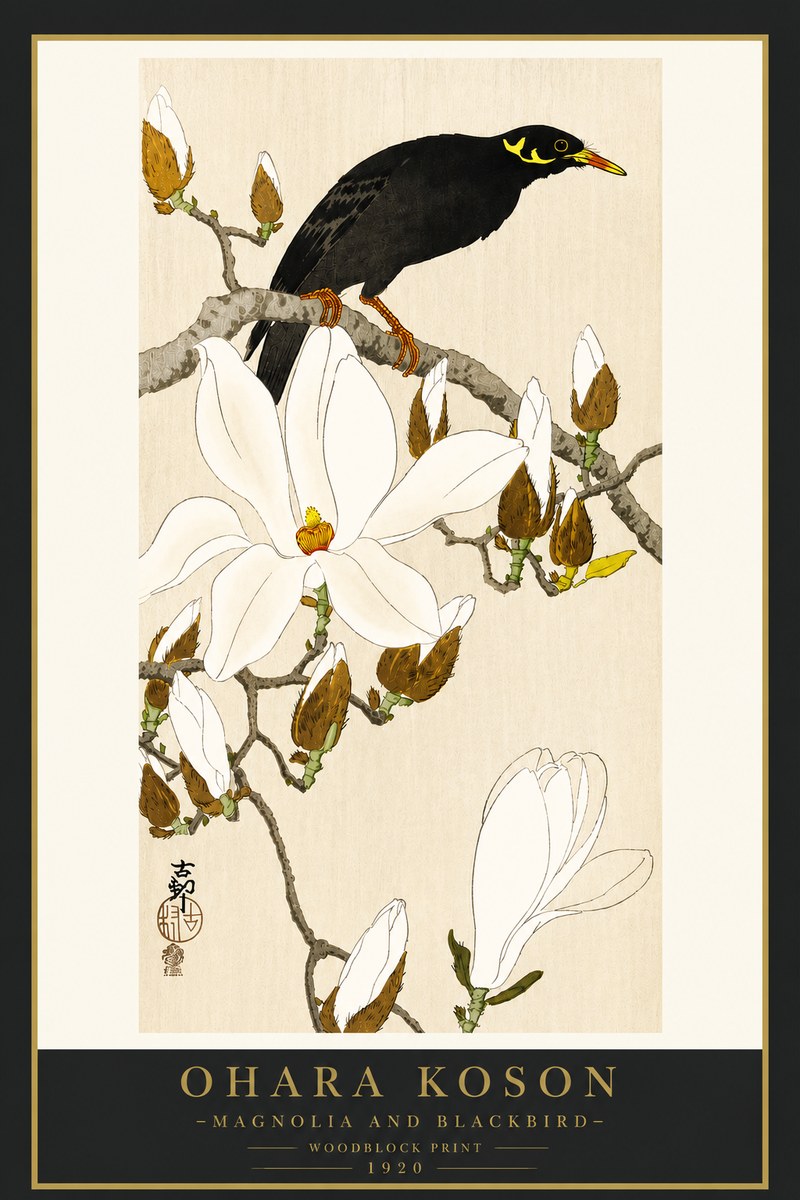 Ohara Koson Magnolia and Blackbird No4 - Poster