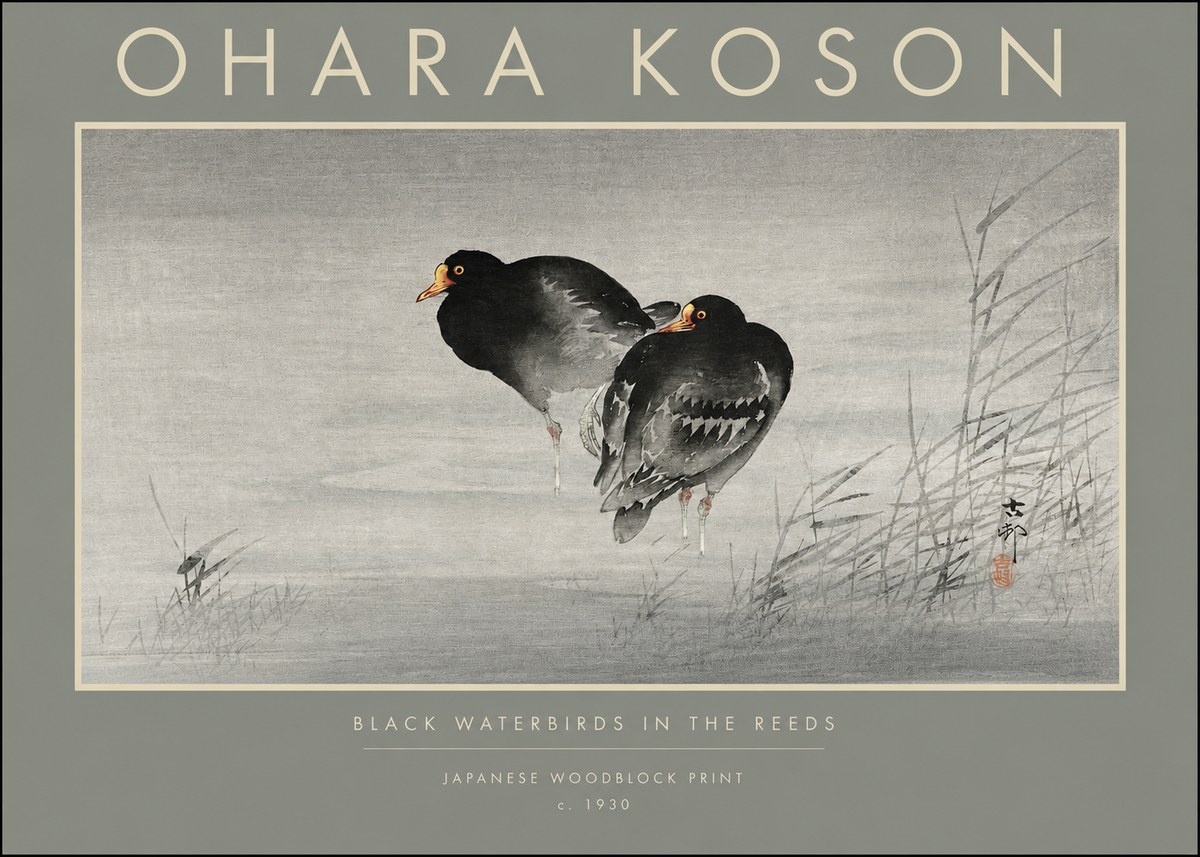 Ohara Koson Black Waterbirds in the Reeds No2 - Poster