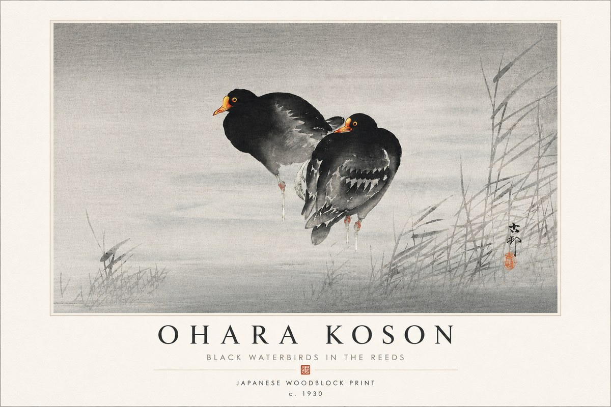 Ohara Koson Black Waterbirds in the Reeds No4 - Poster