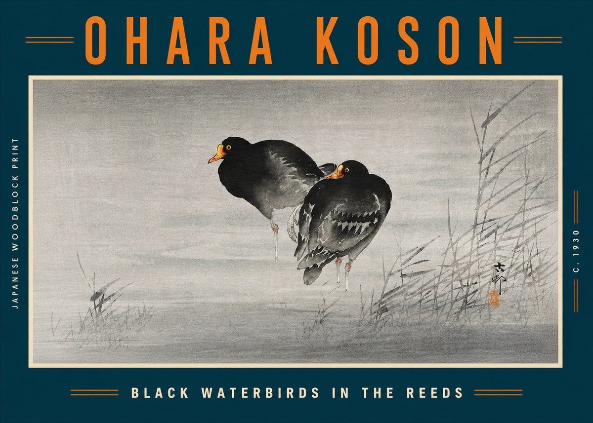 Ohara Koson Black Waterbirds in the Reeds No5 - Poster