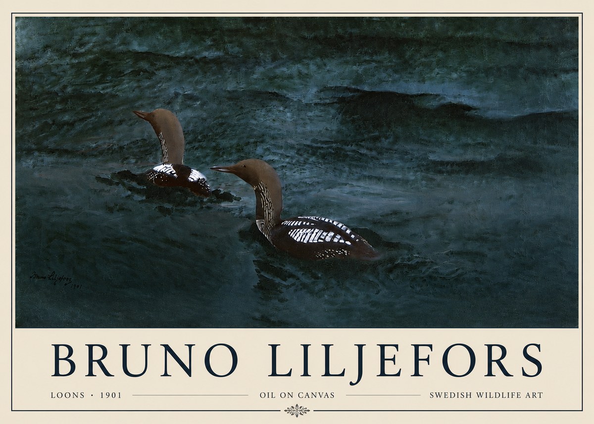 Bruno Liljefors Loons · 1901 No3 - Poster