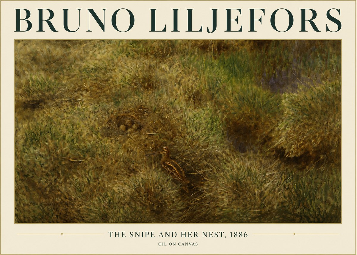 Bruno Liljefors The Snipe and Her Nest No3 - Poster