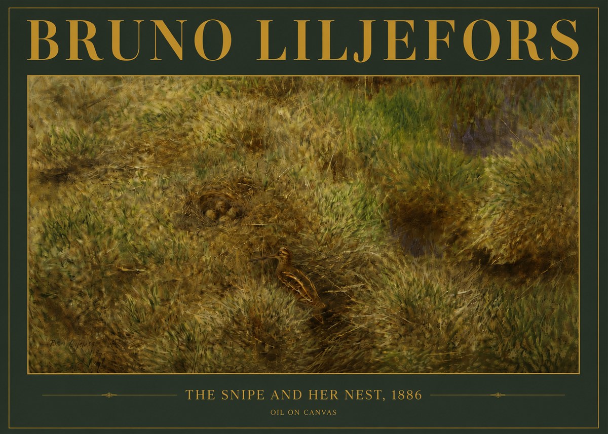 Bruno Liljefors The Snipe and Her Nest No4 - Poster