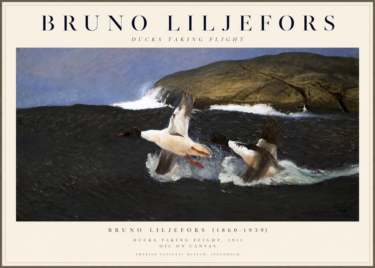 Bruno Liljefors Ducks Taking Flight No1 - Poster