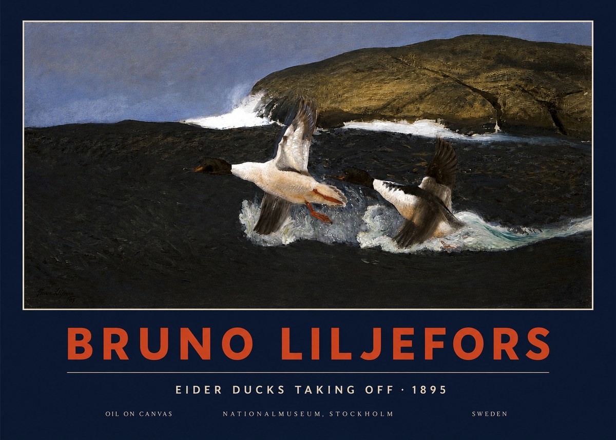 Bruno Liljefors Ducks Taking Flight No4 - Poster