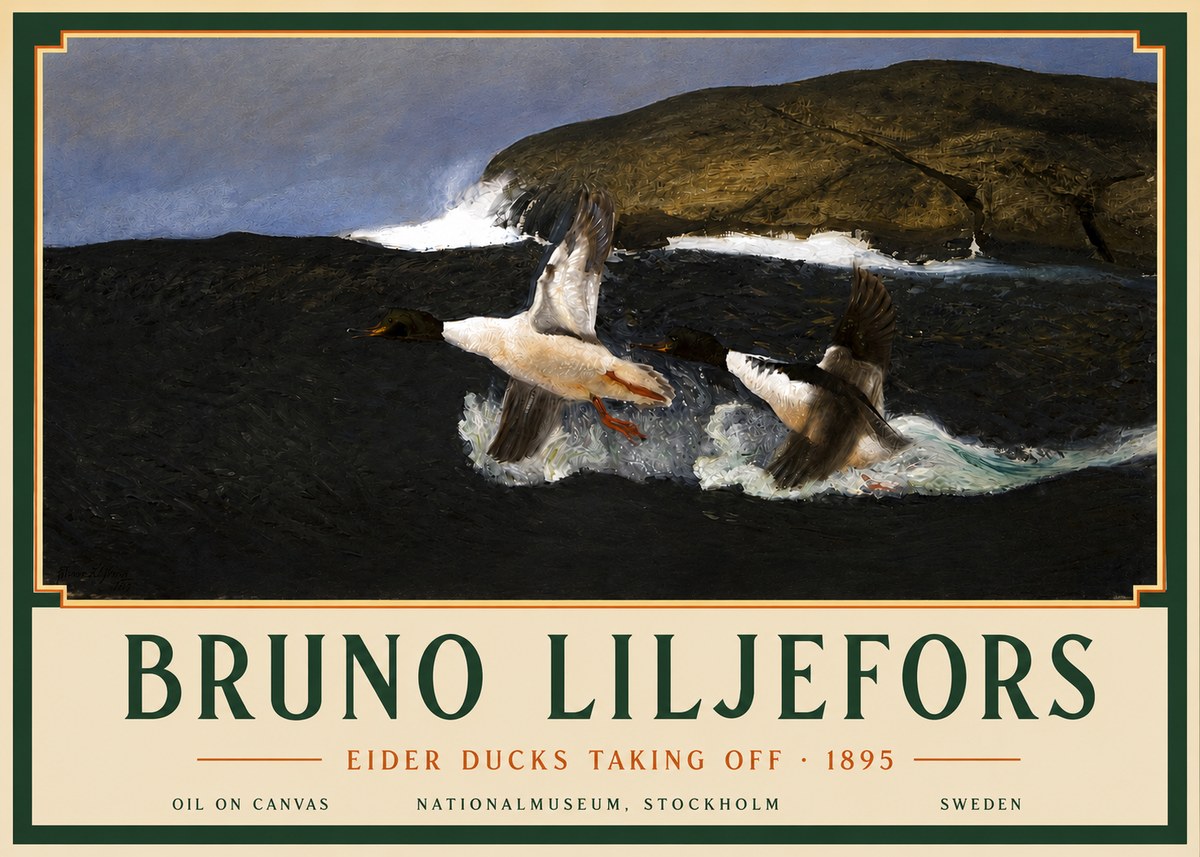 Bruno Liljefors Ducks Taking Flight No5 - Poster