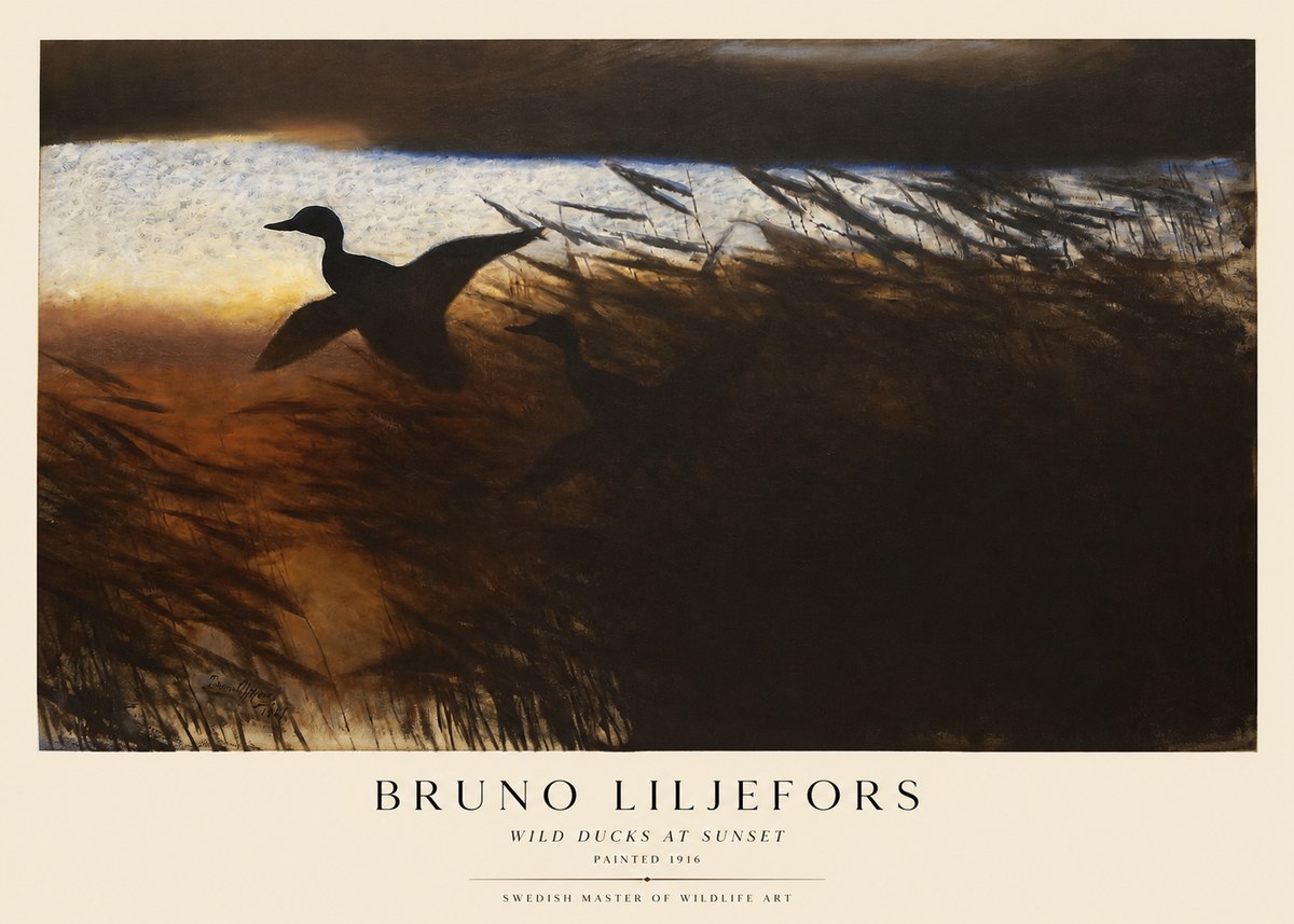 Bruno Liljefors Wild Ducks II No5 - Poster